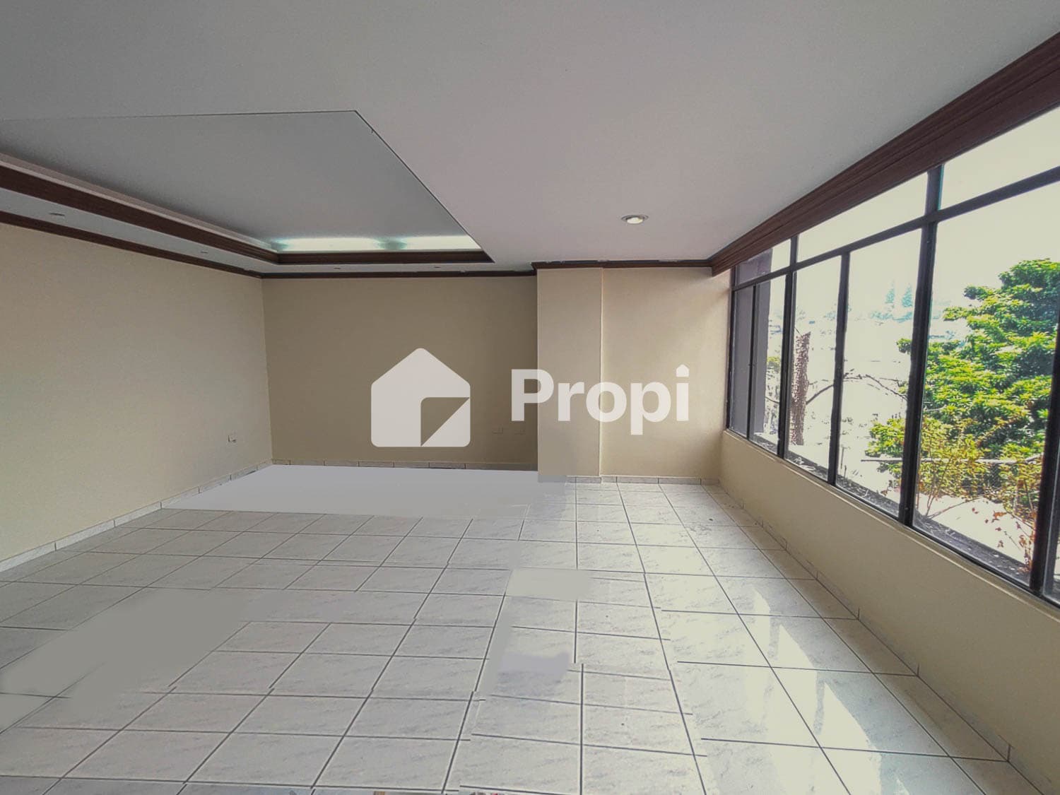 Foto principal del proyecto