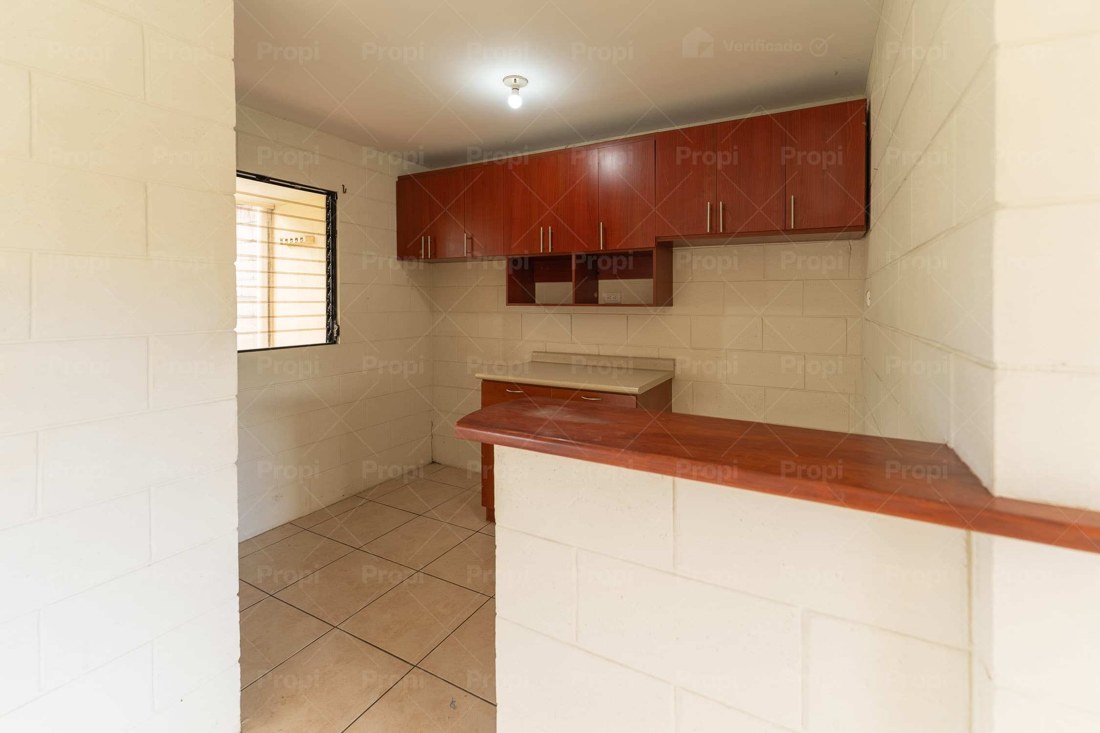 Foto 4 del proyecto