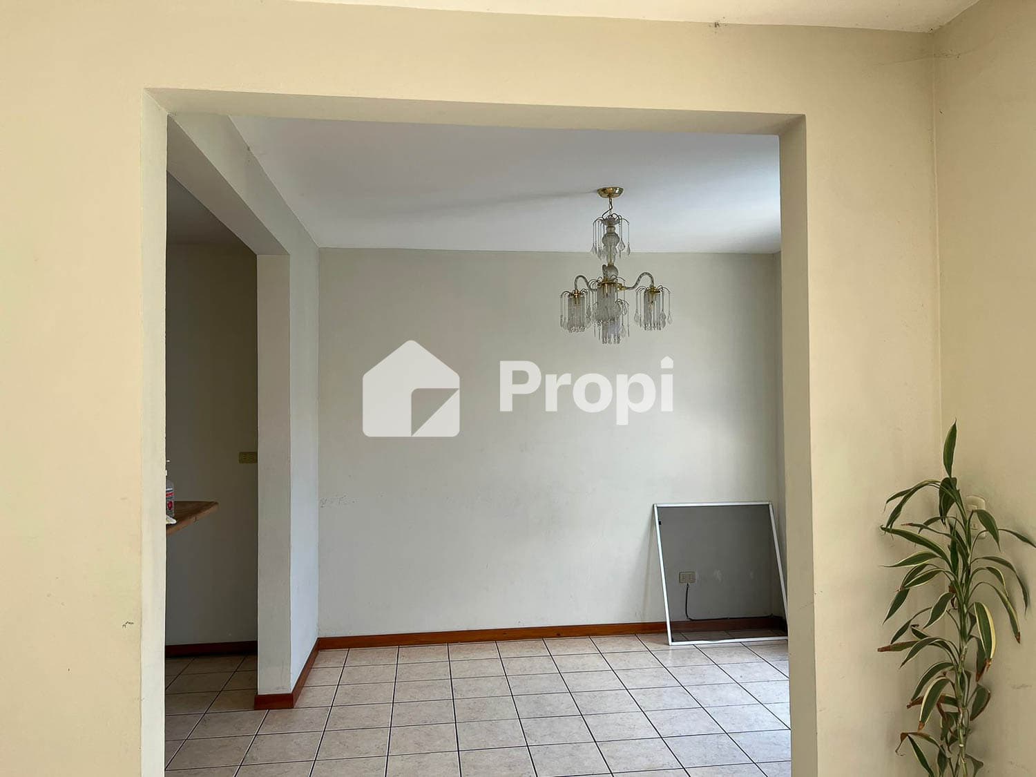 Foto 5 del proyecto