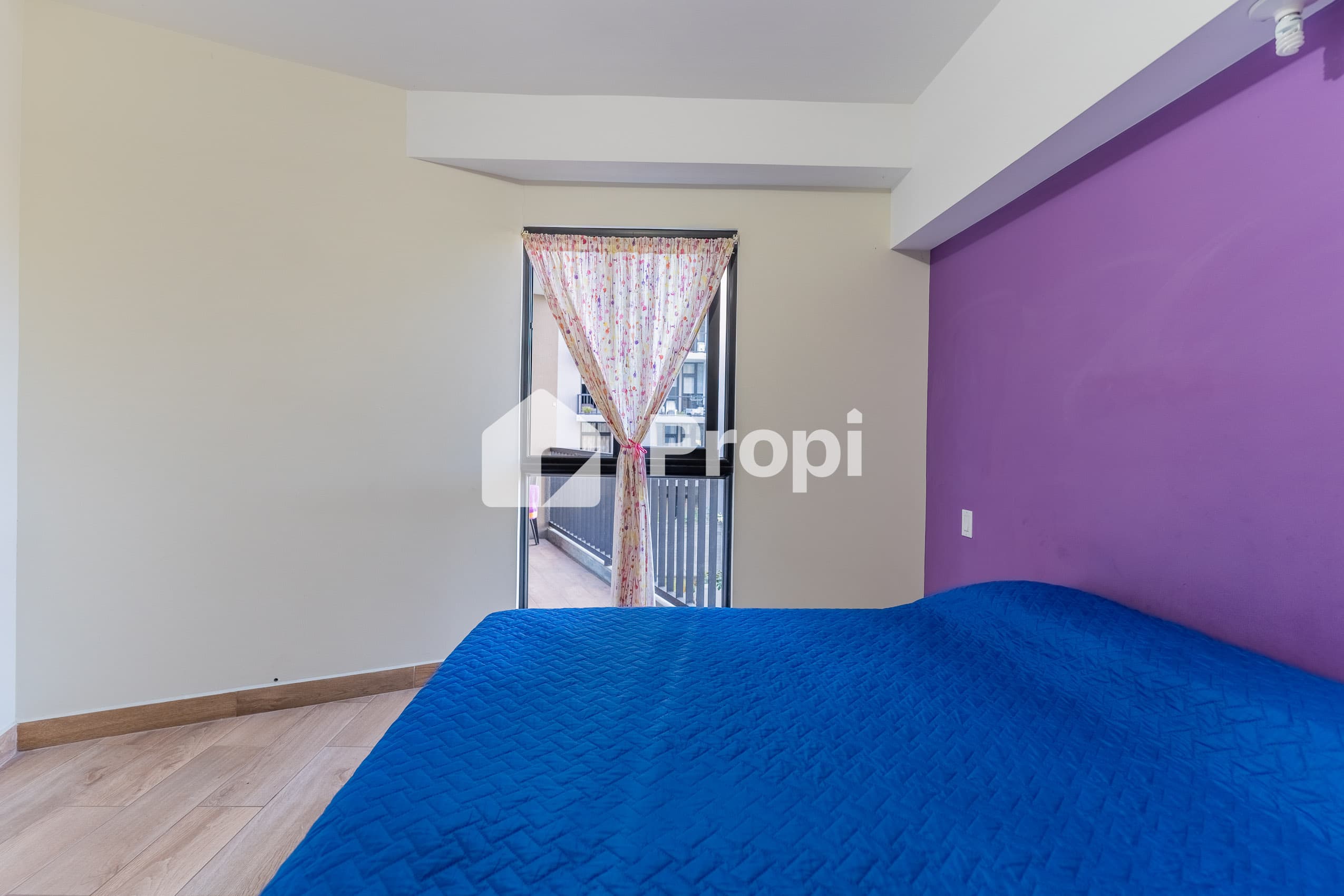 Foto 11 del proyecto