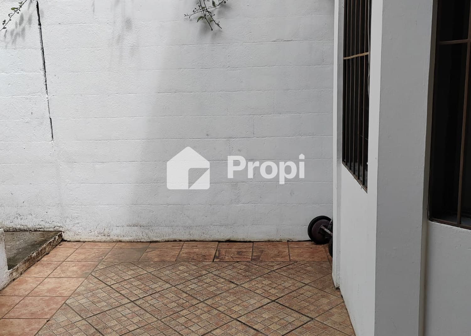 Foto 1 del proyecto