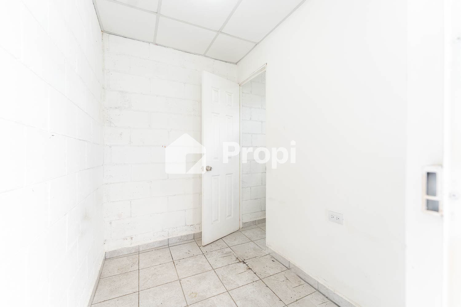 Foto 7 del proyecto