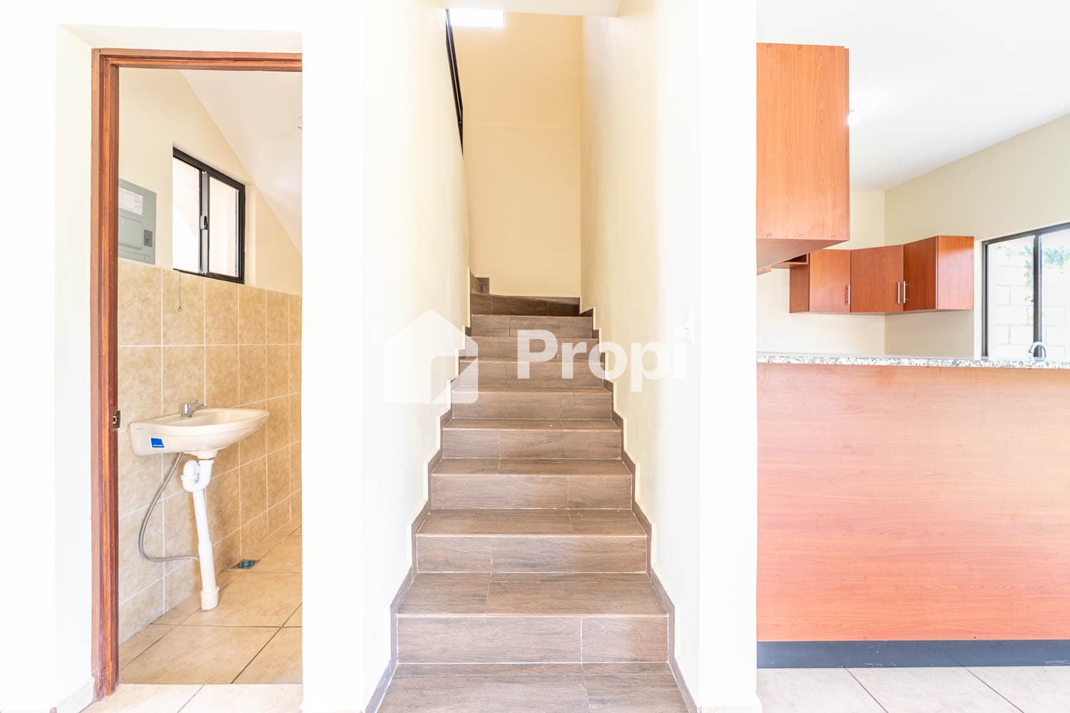Foto 10 del proyecto