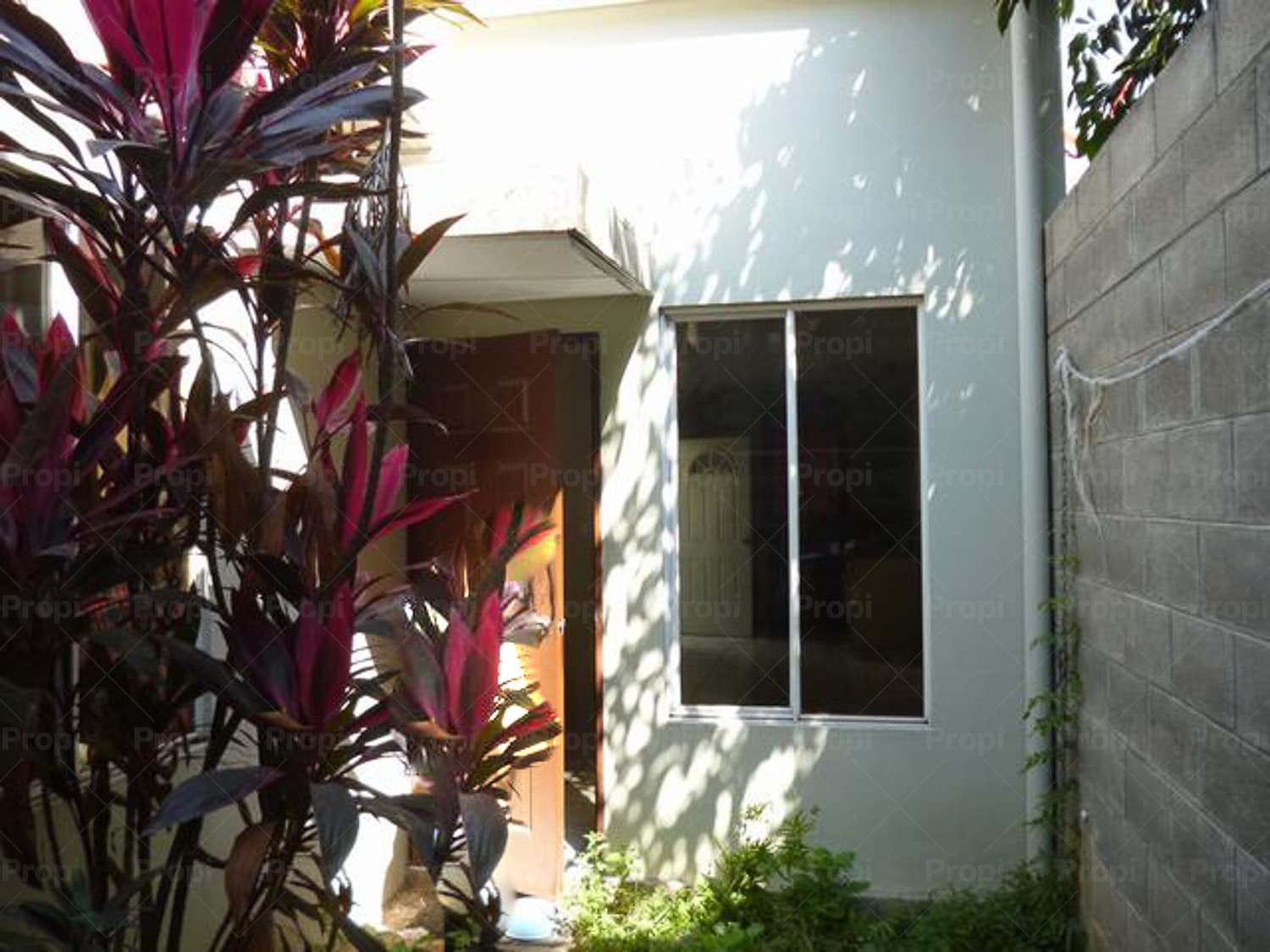 Foto 7 del proyecto