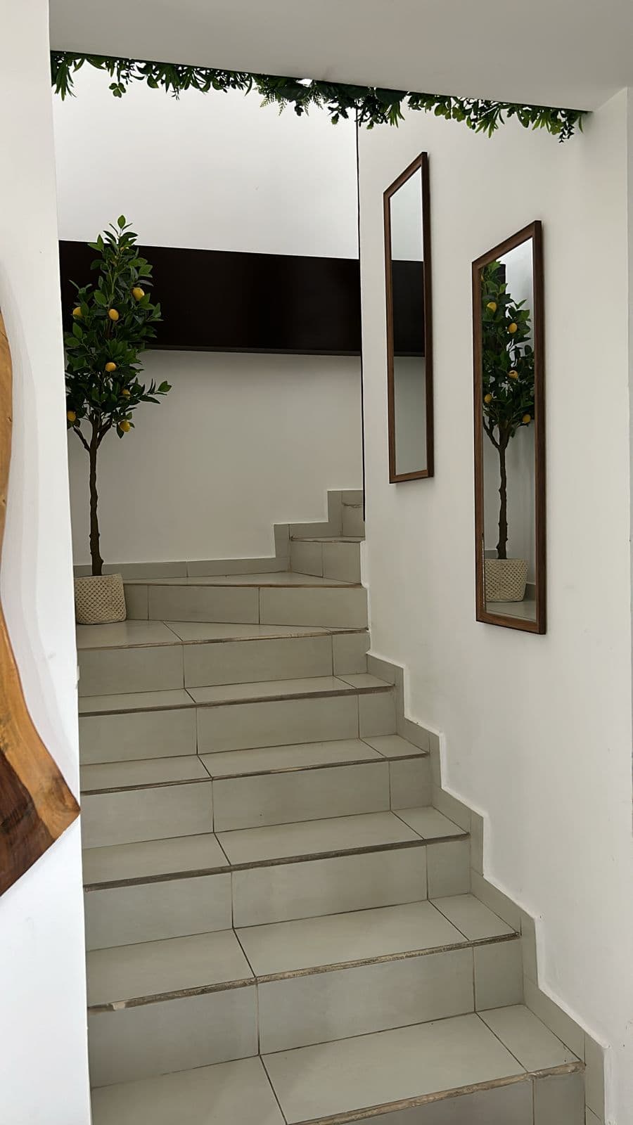 Foto 5 del proyecto