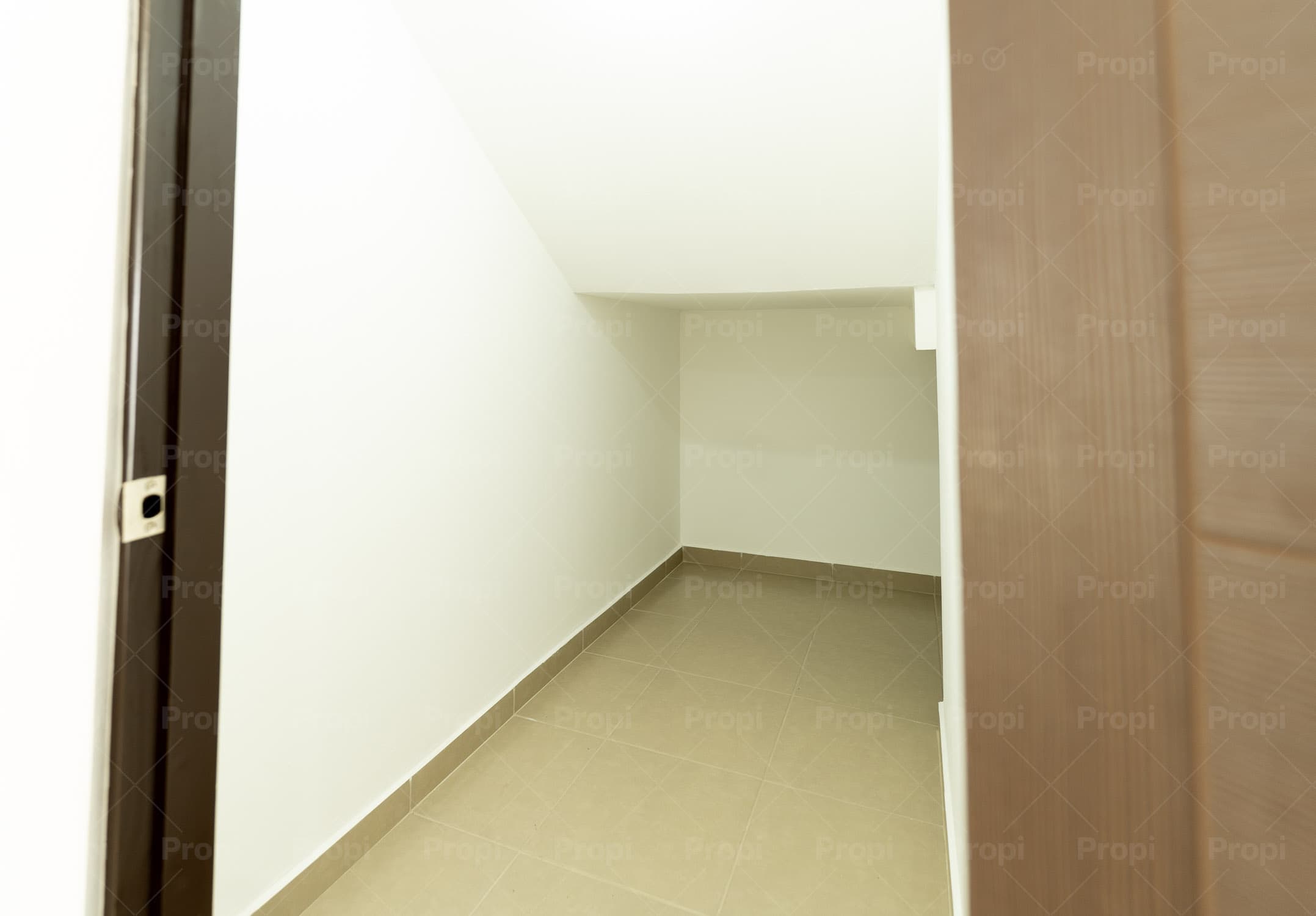 Foto 9 del proyecto