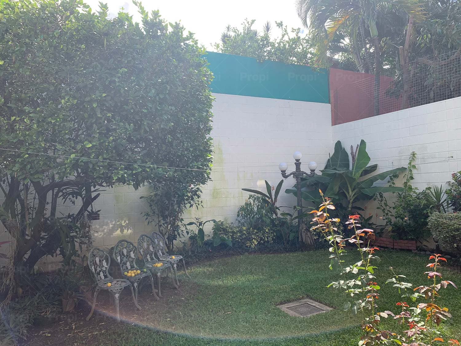 Foto 7 del proyecto