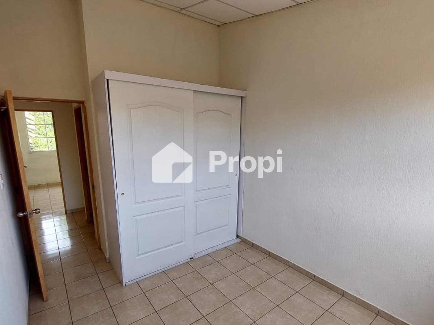 Foto 5 del proyecto