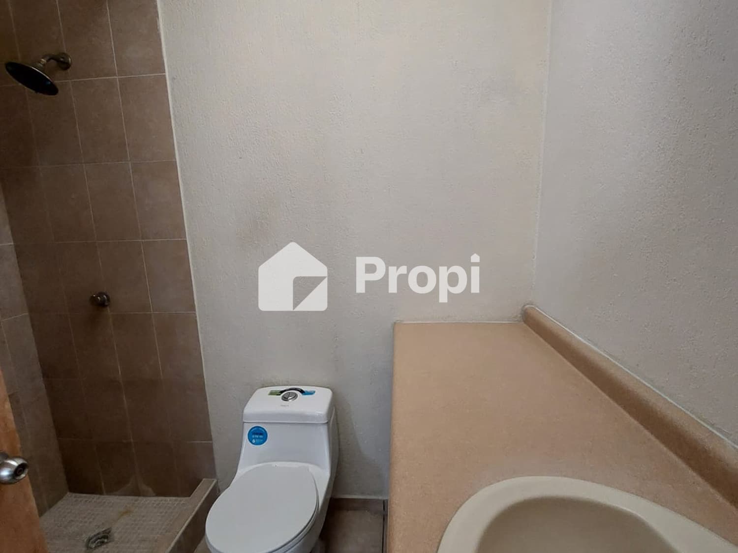 Foto 11 del proyecto