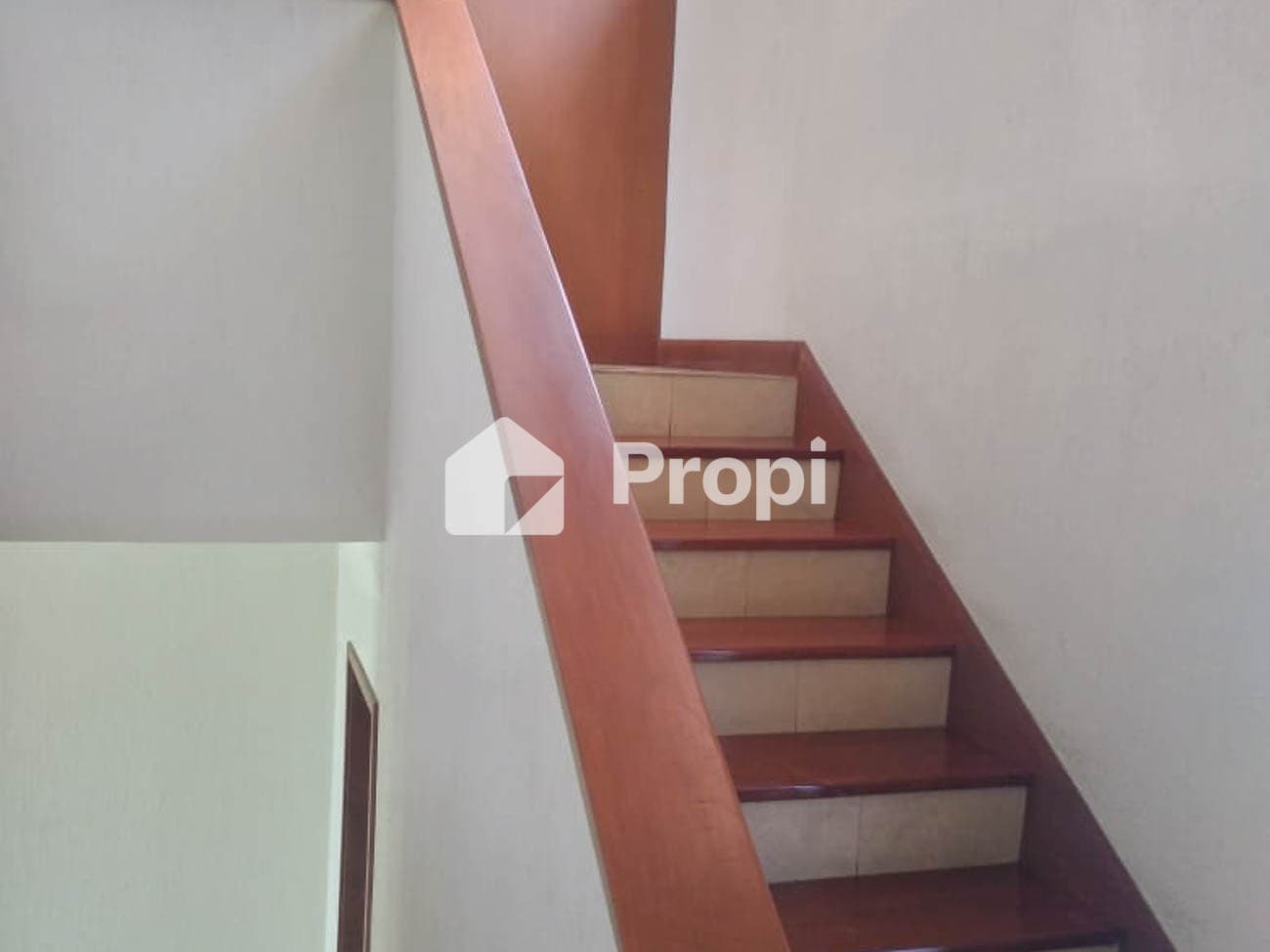 Foto 7 del proyecto