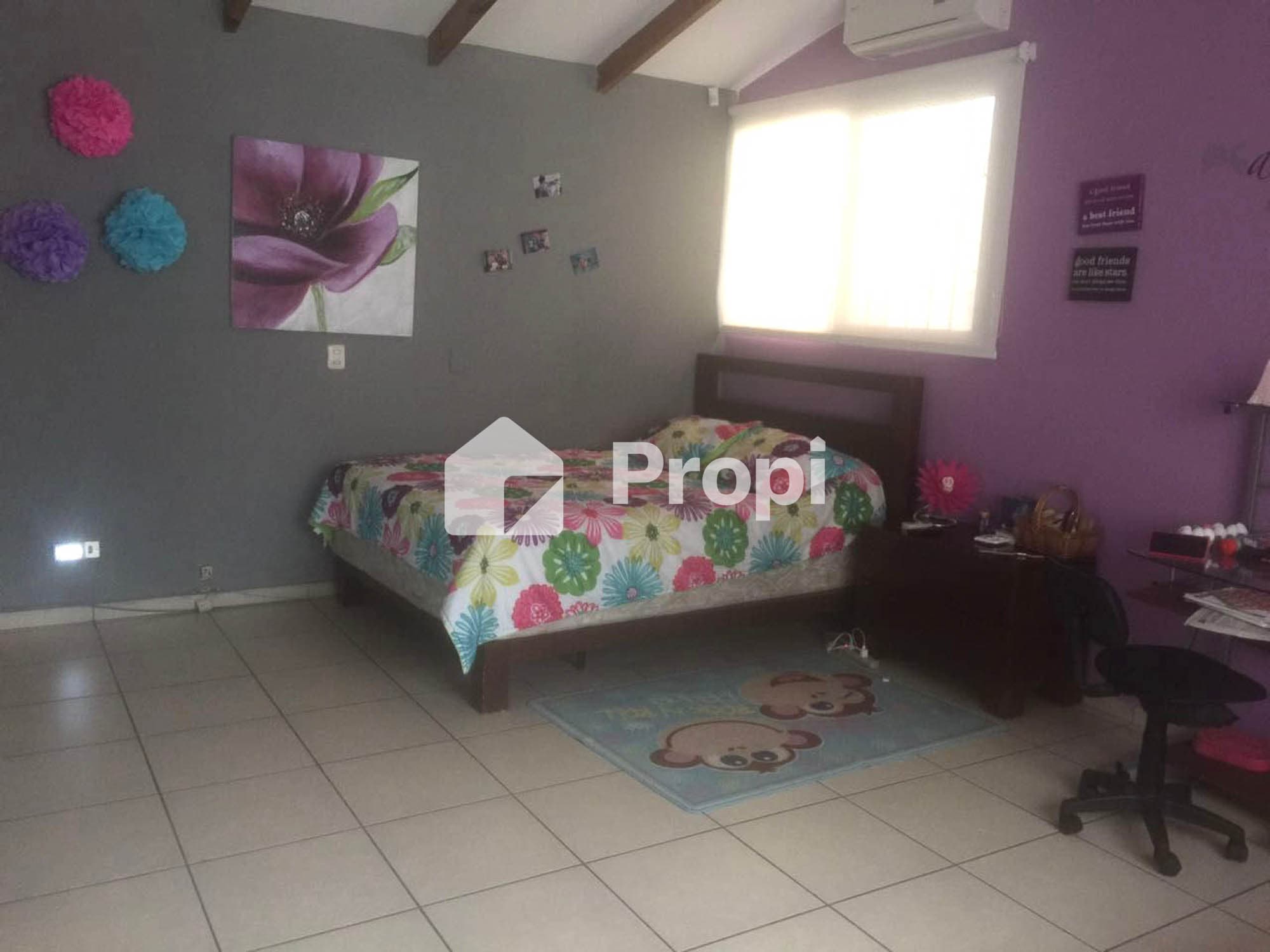 Foto 9 del proyecto