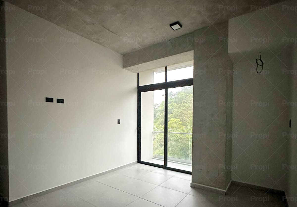 Foto 8 del proyecto