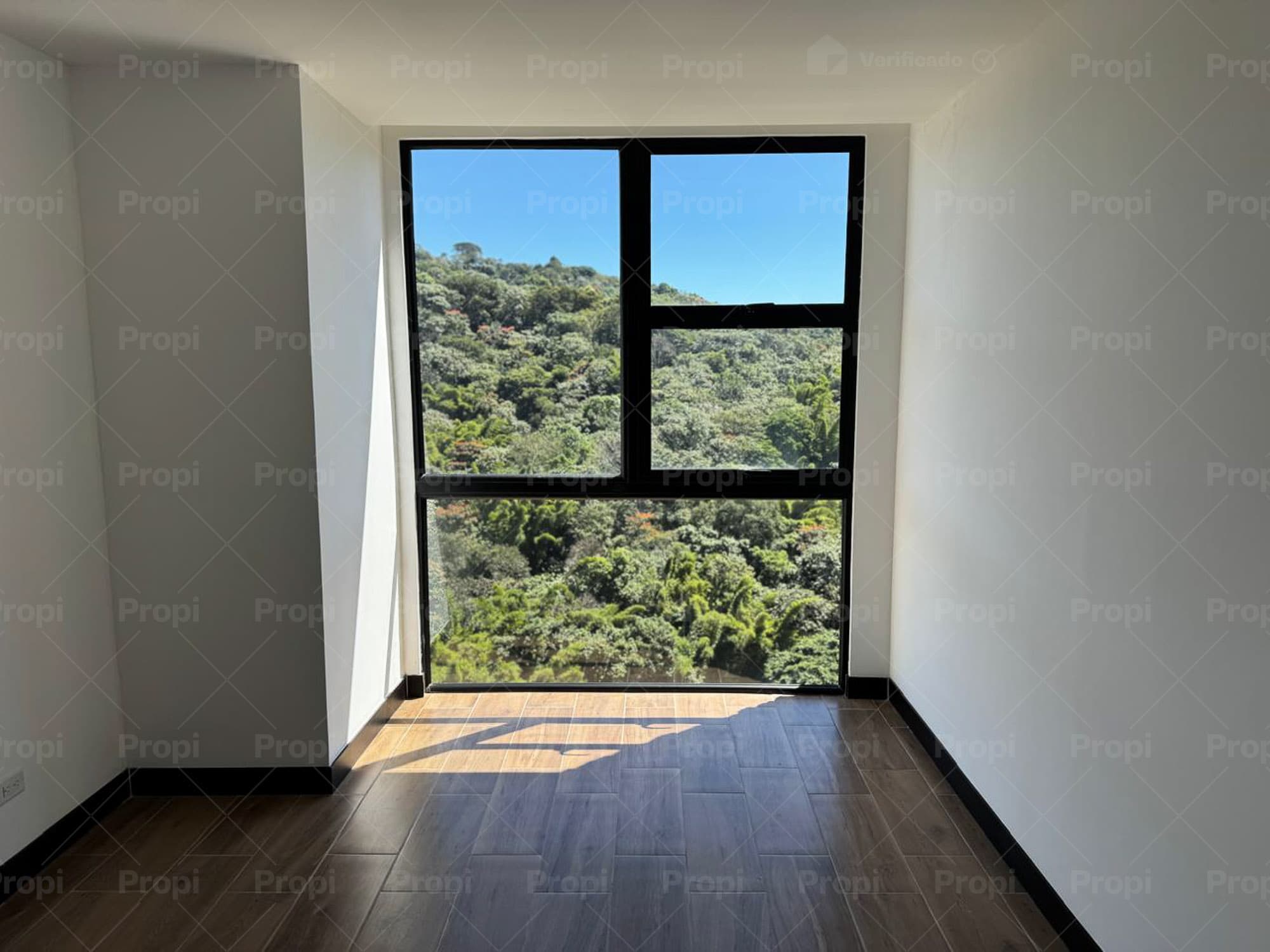 Foto 1 del proyecto