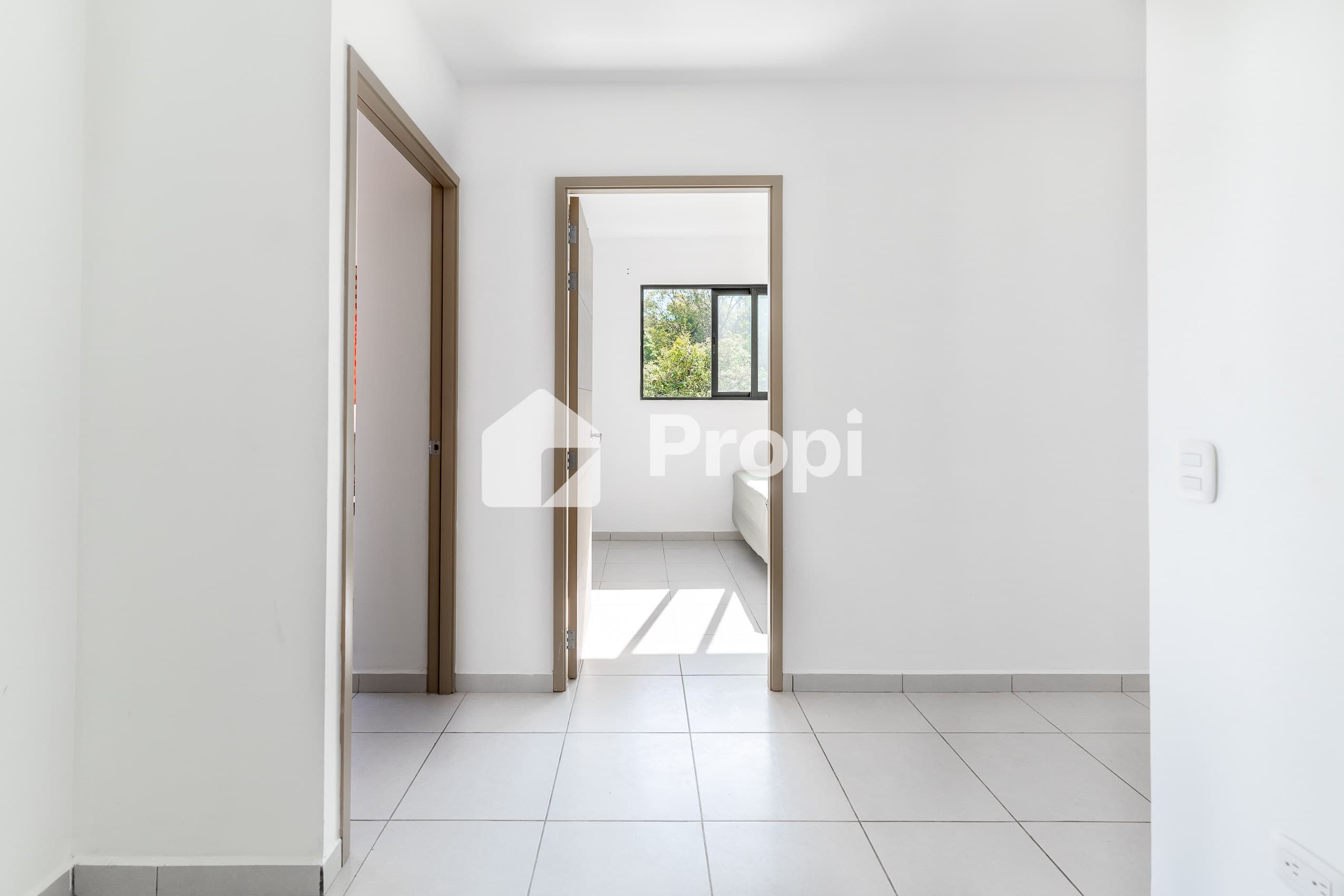 Foto 11 del proyecto