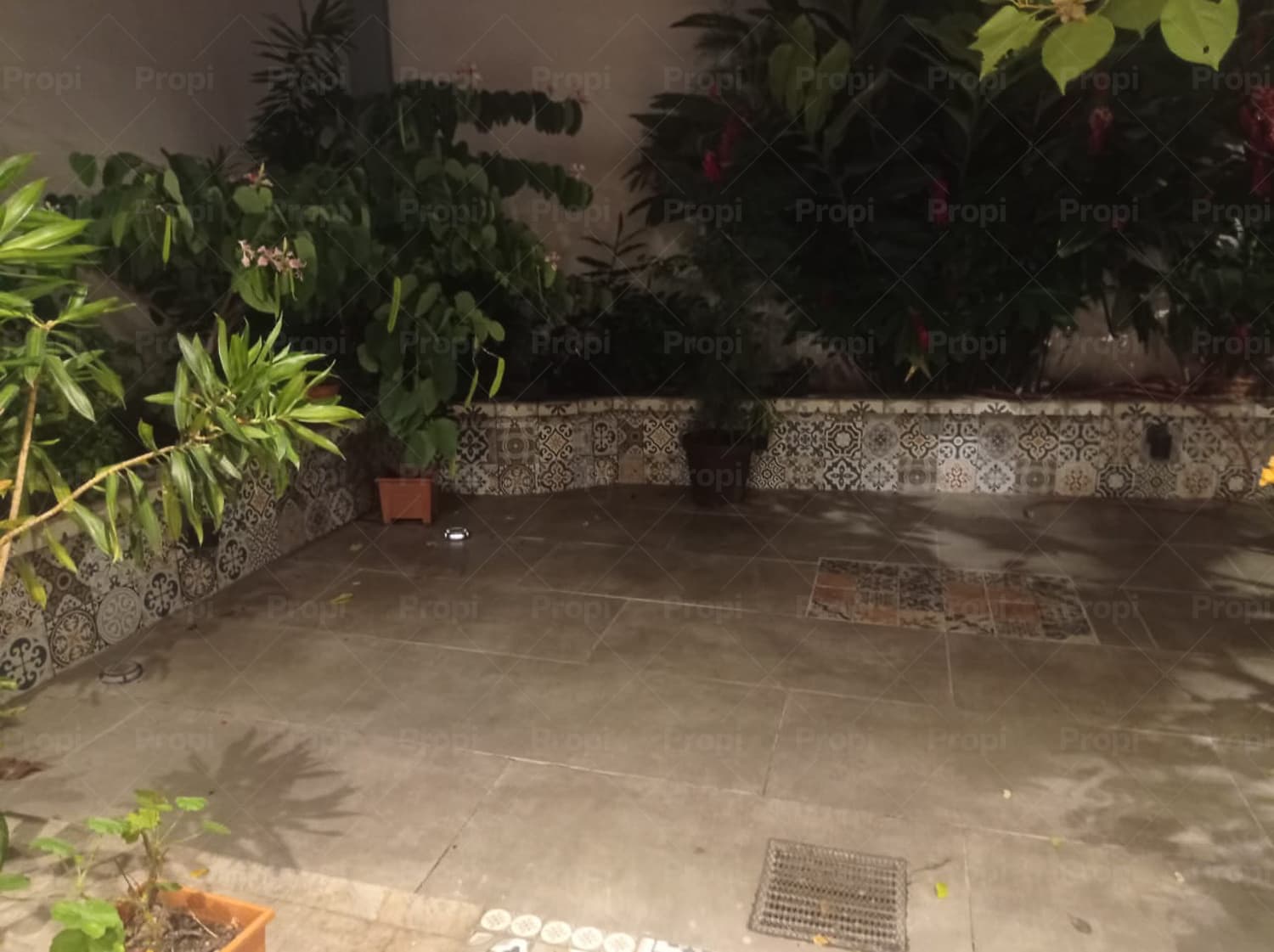 Foto 4 del proyecto