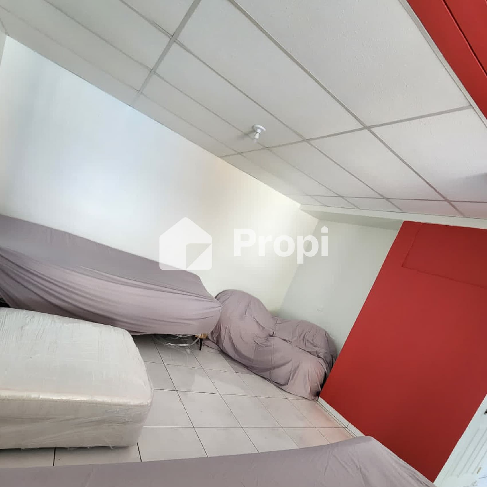 Foto 7 del proyecto