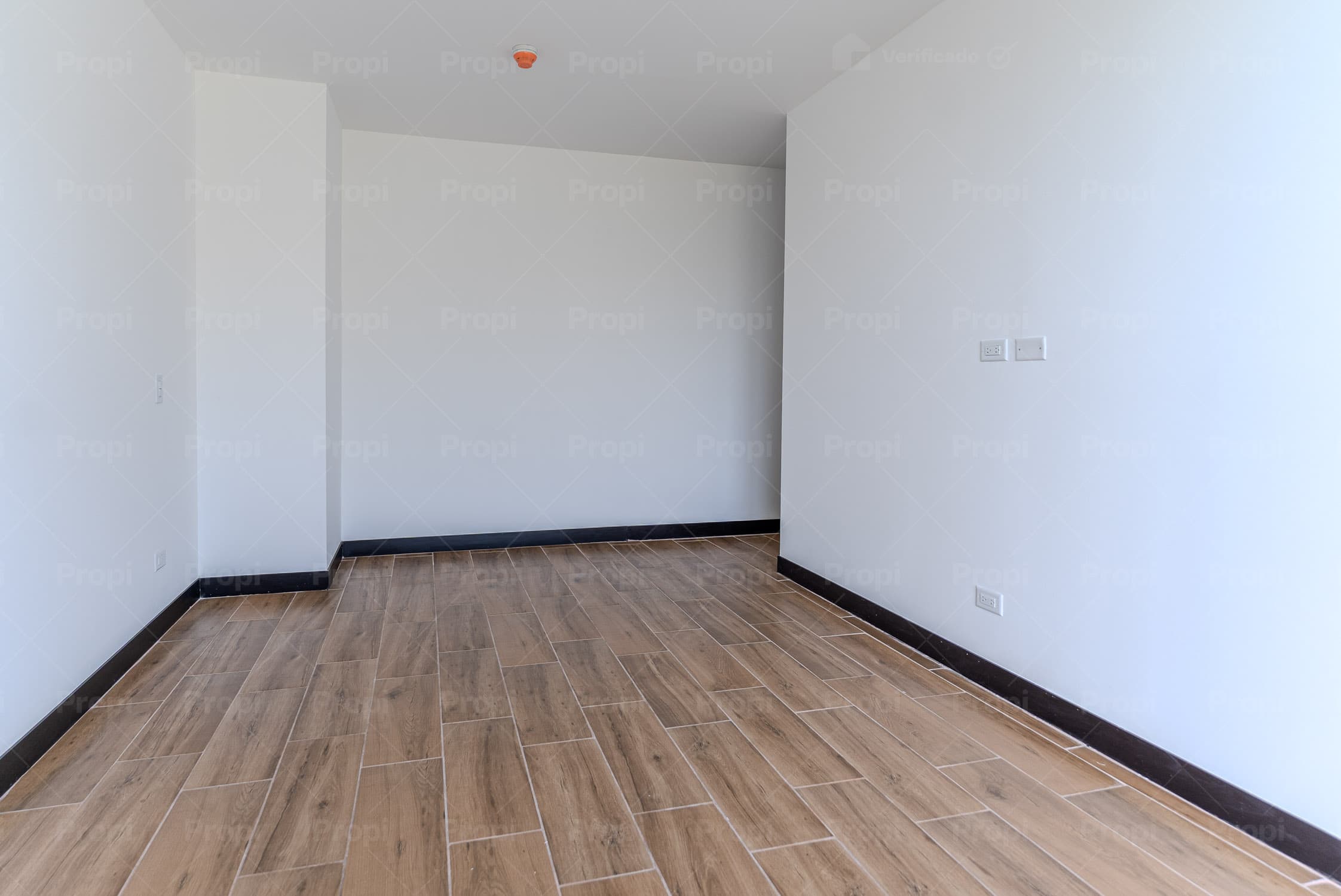 Foto 6 del proyecto