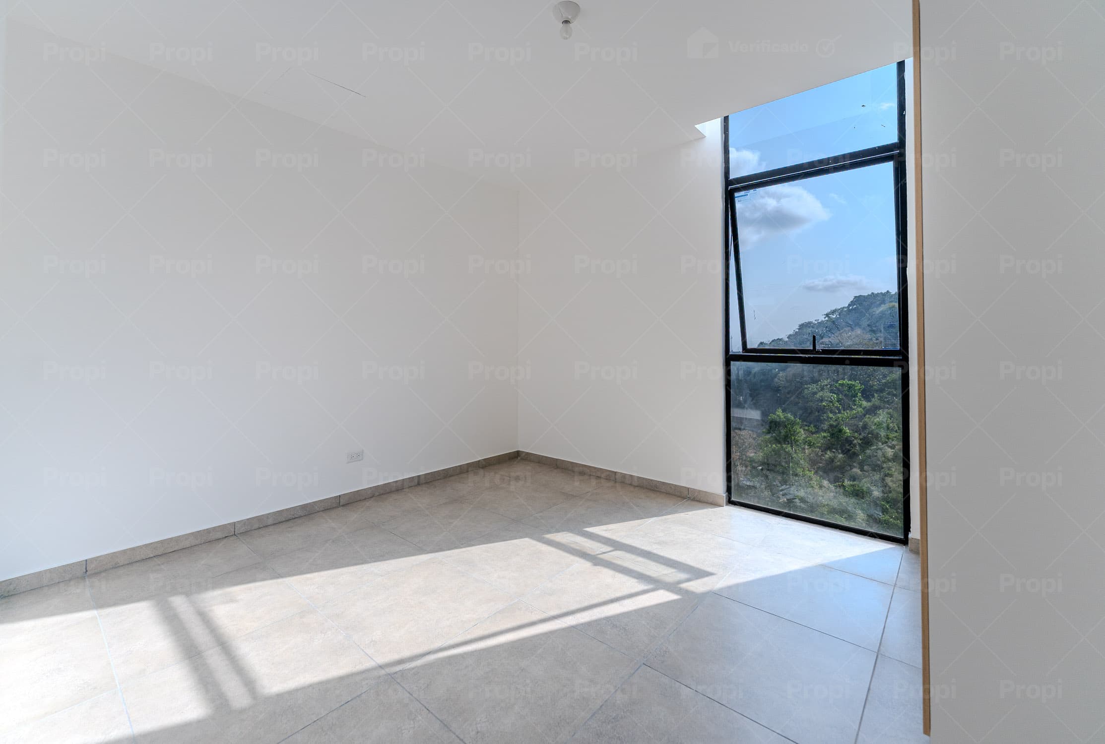 Foto 7 del proyecto