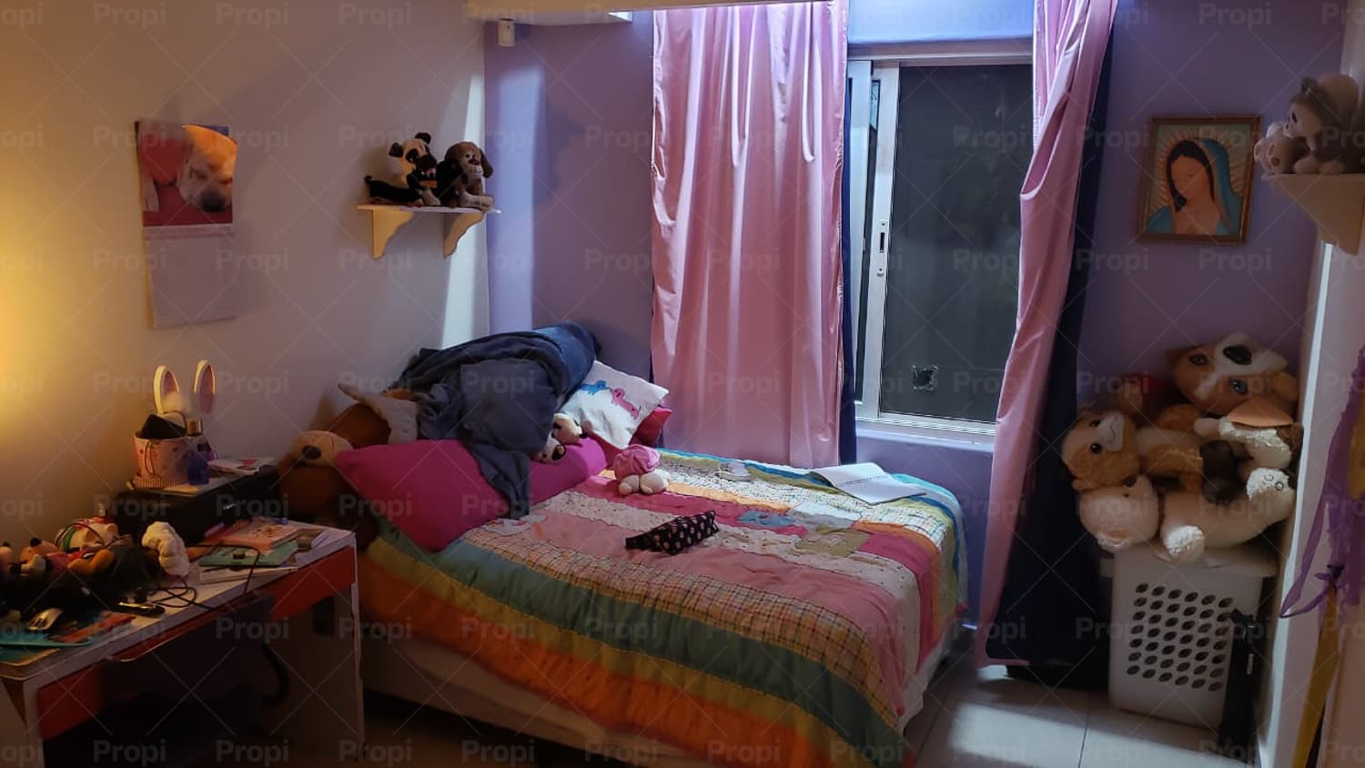 Foto 8 del proyecto