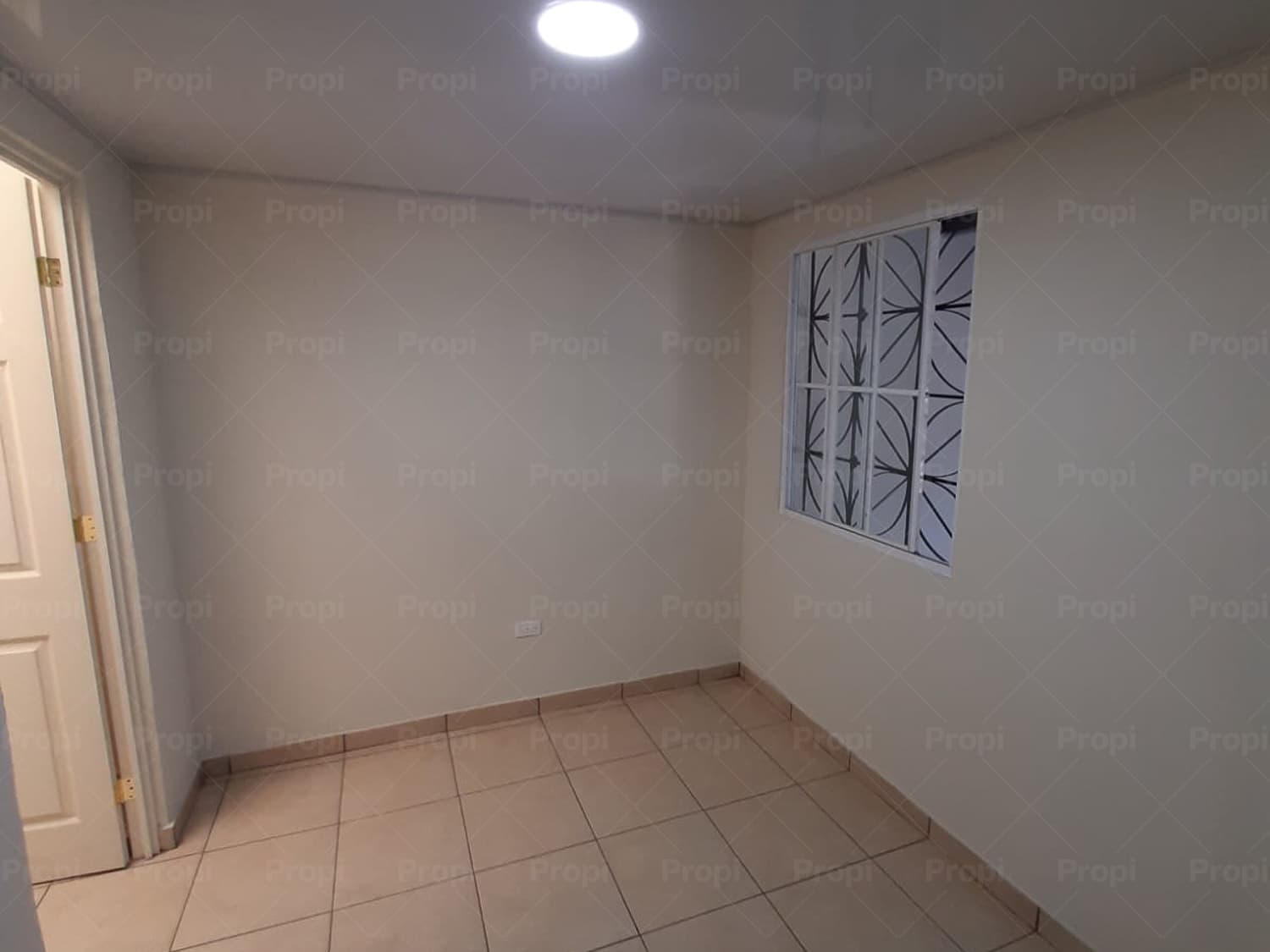 Foto 1 del proyecto