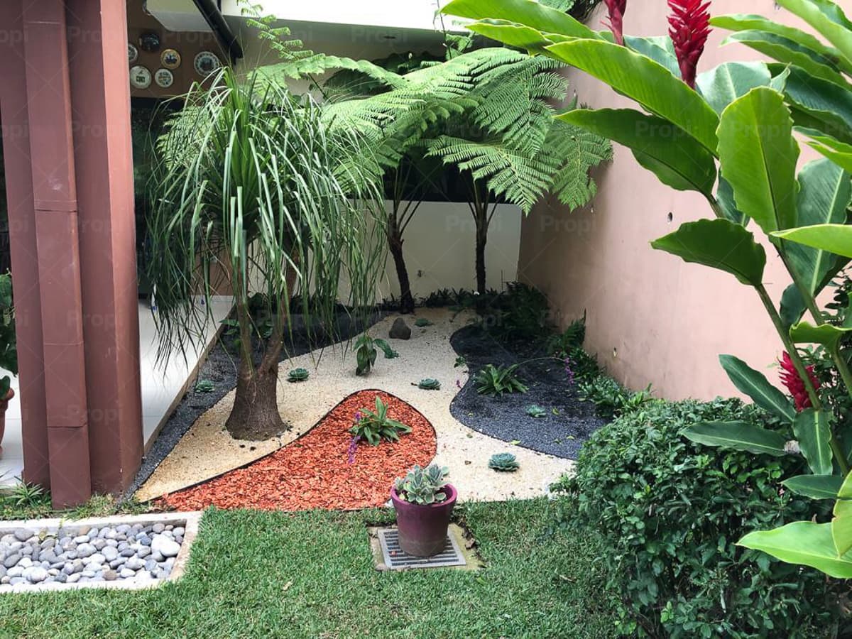 Foto 7 del proyecto