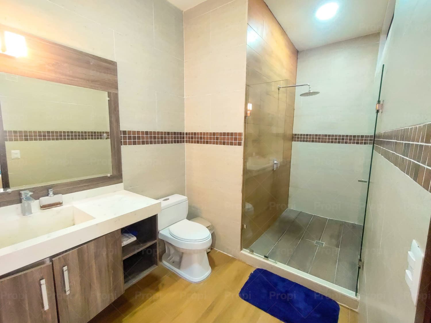 Foto 10 del proyecto