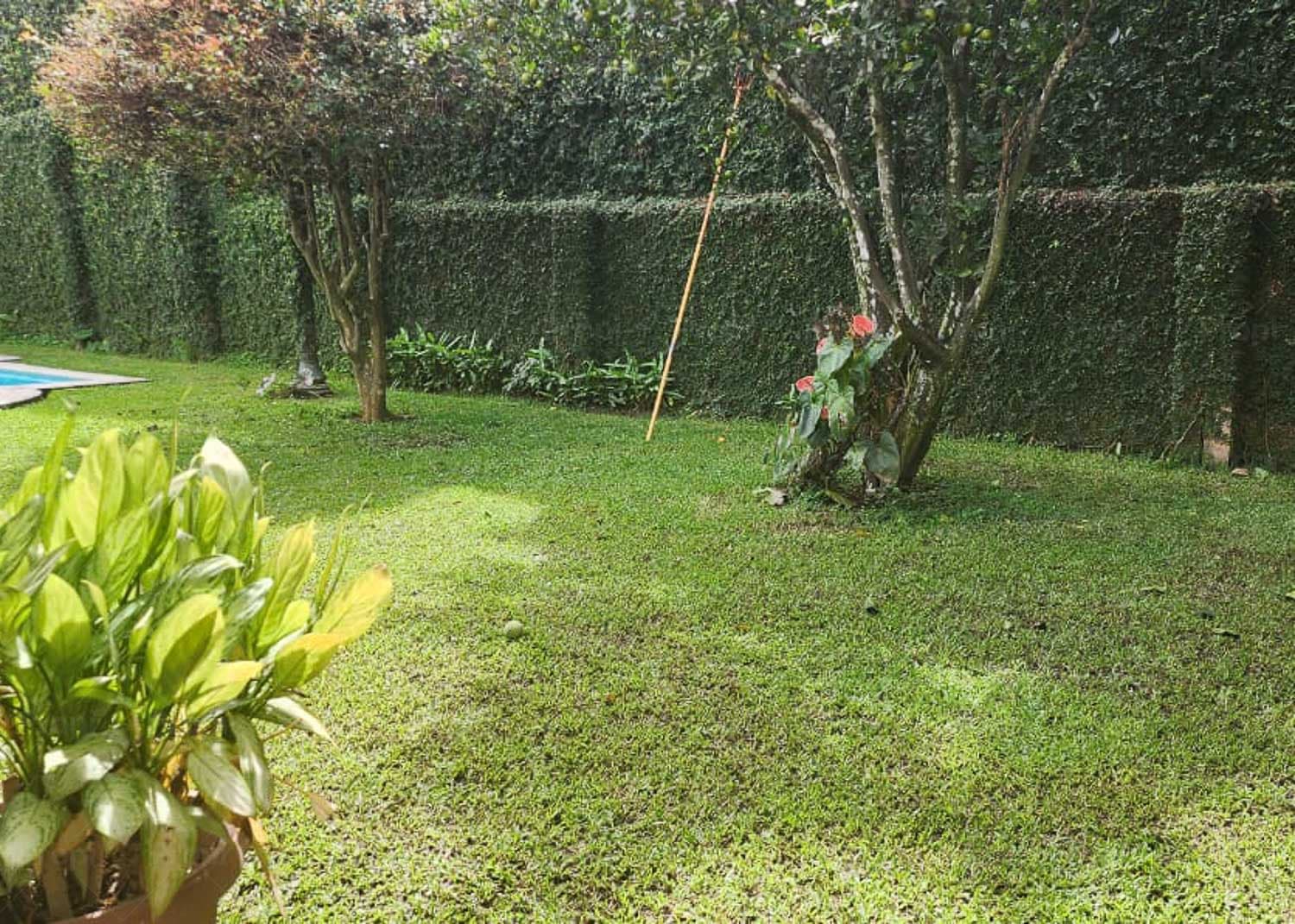Foto 13 del proyecto