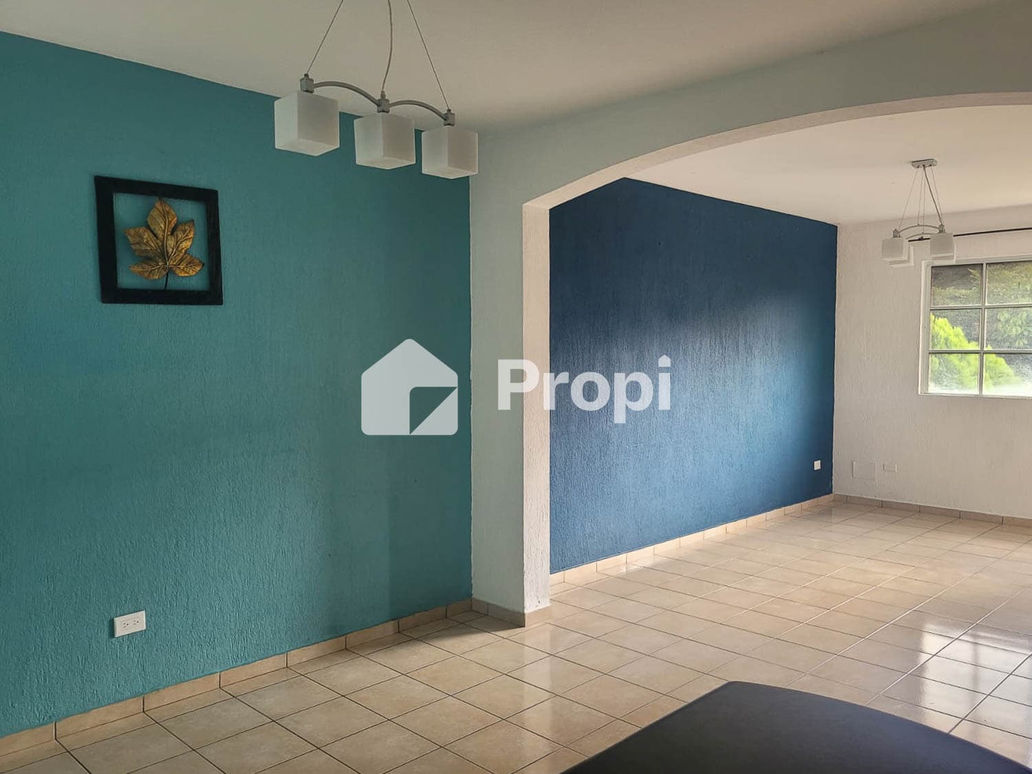 Foto 13 del proyecto