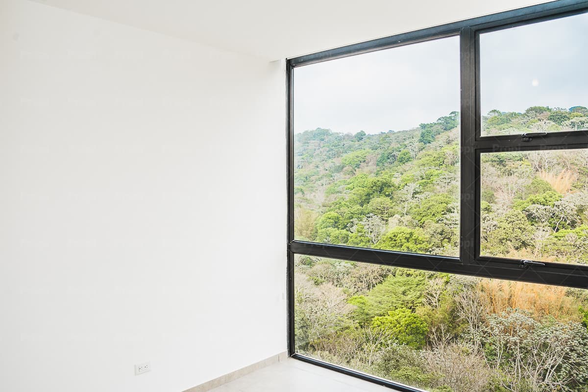 Foto 12 del proyecto