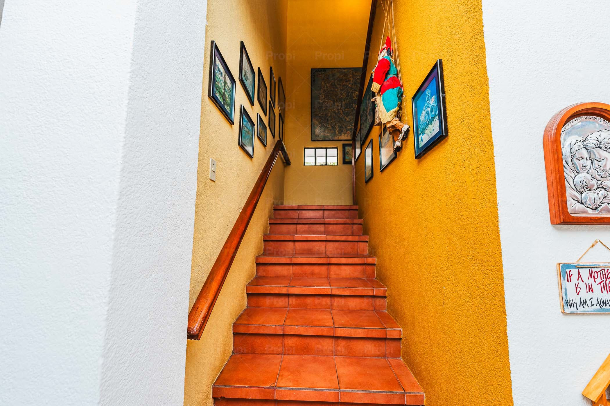 Foto 21 del proyecto