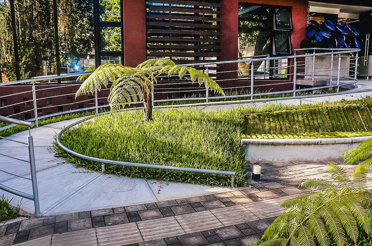 Foto 13 del proyecto
