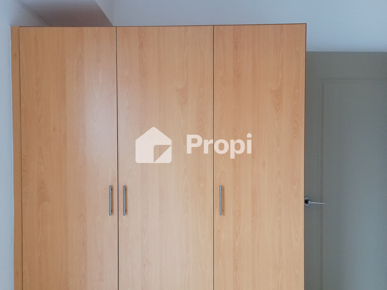 Foto 5 del proyecto