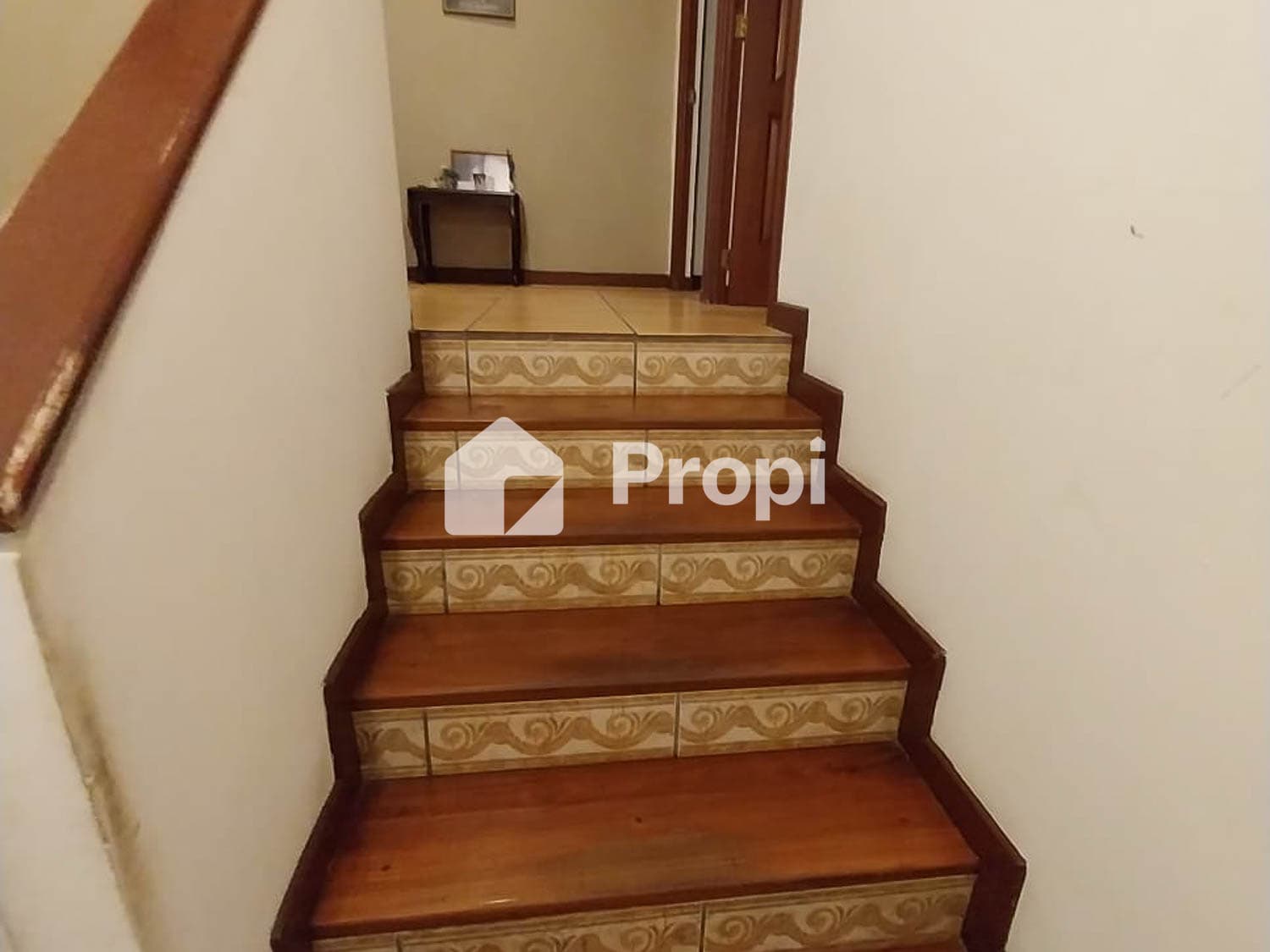Foto 6 del proyecto