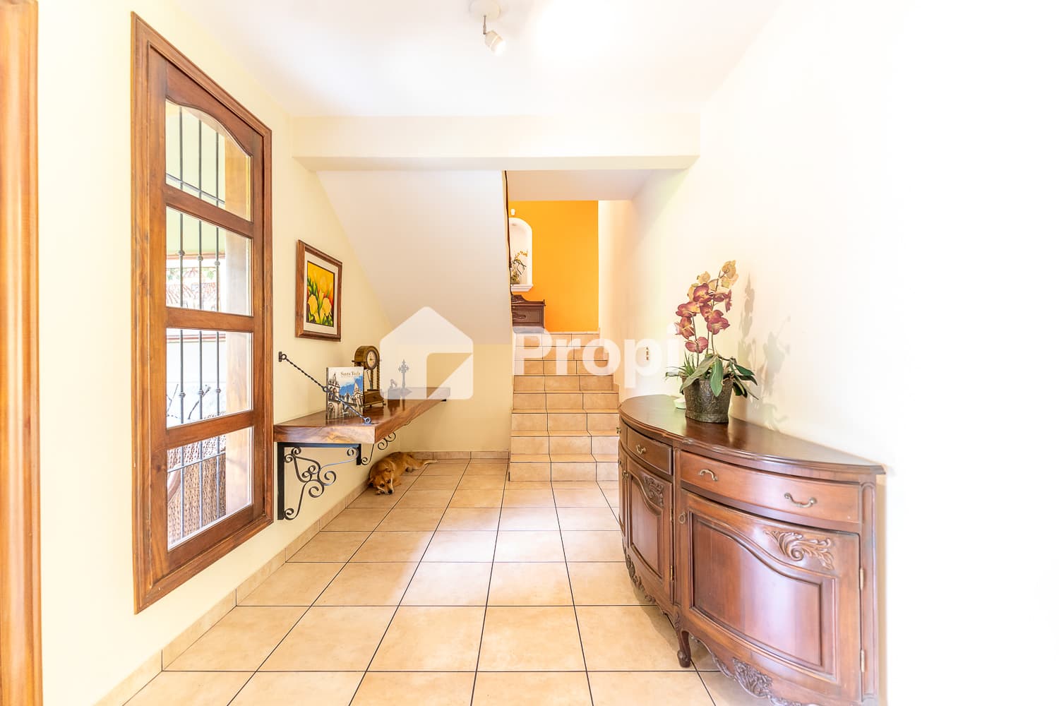 Foto 6 del proyecto