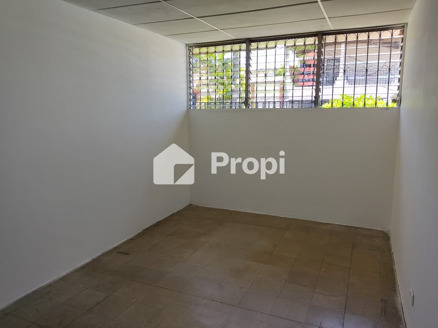 Foto 15 del proyecto