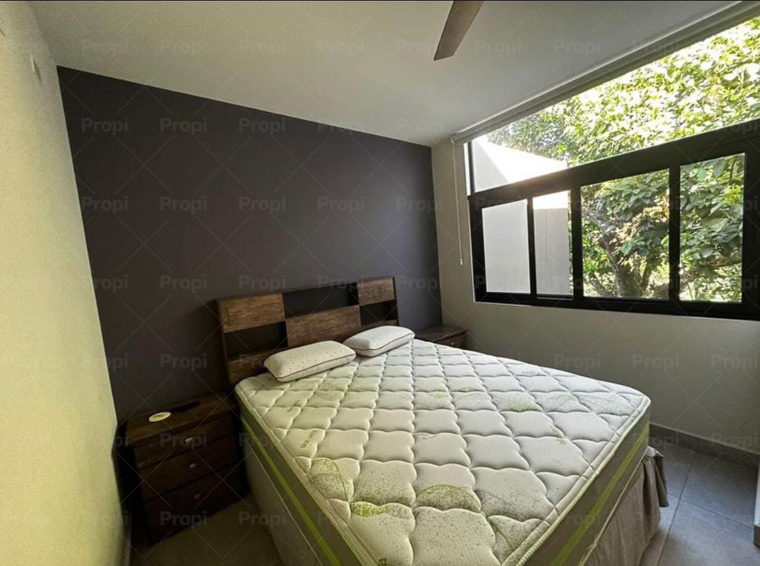 Foto 6 del proyecto