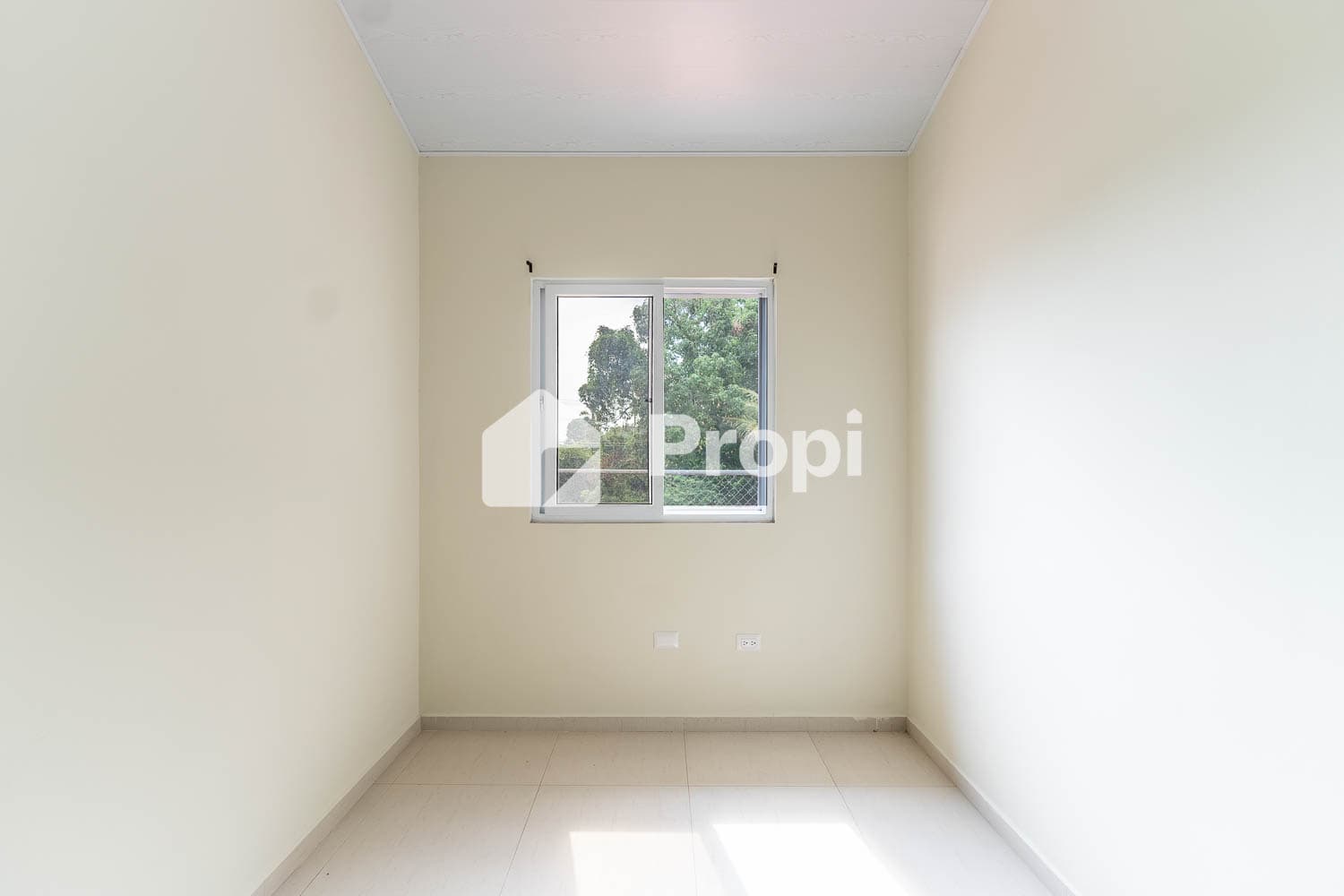 Foto 10 del proyecto
