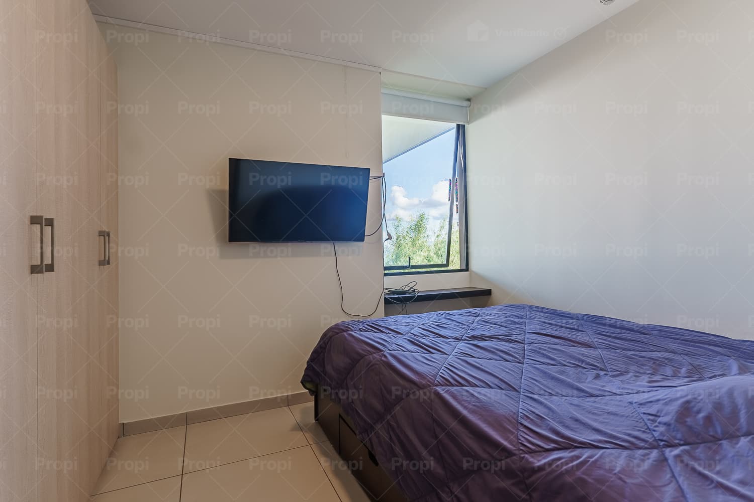 Foto 10 del proyecto