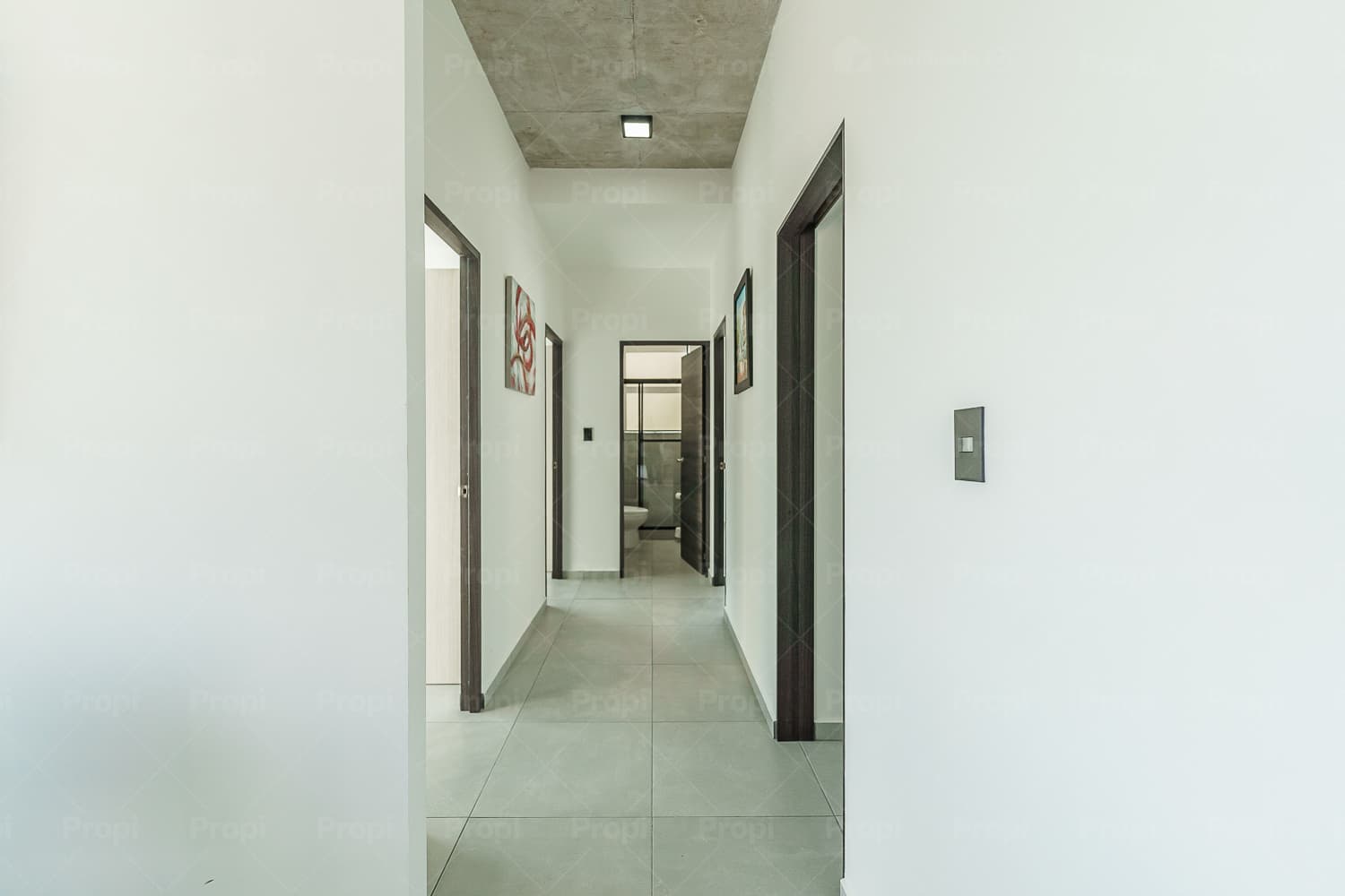 Foto 5 del proyecto