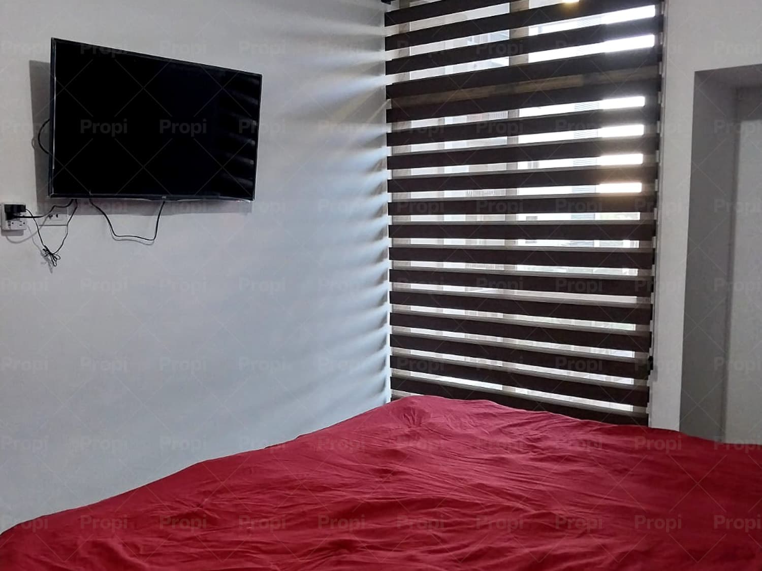 Foto 4 del proyecto