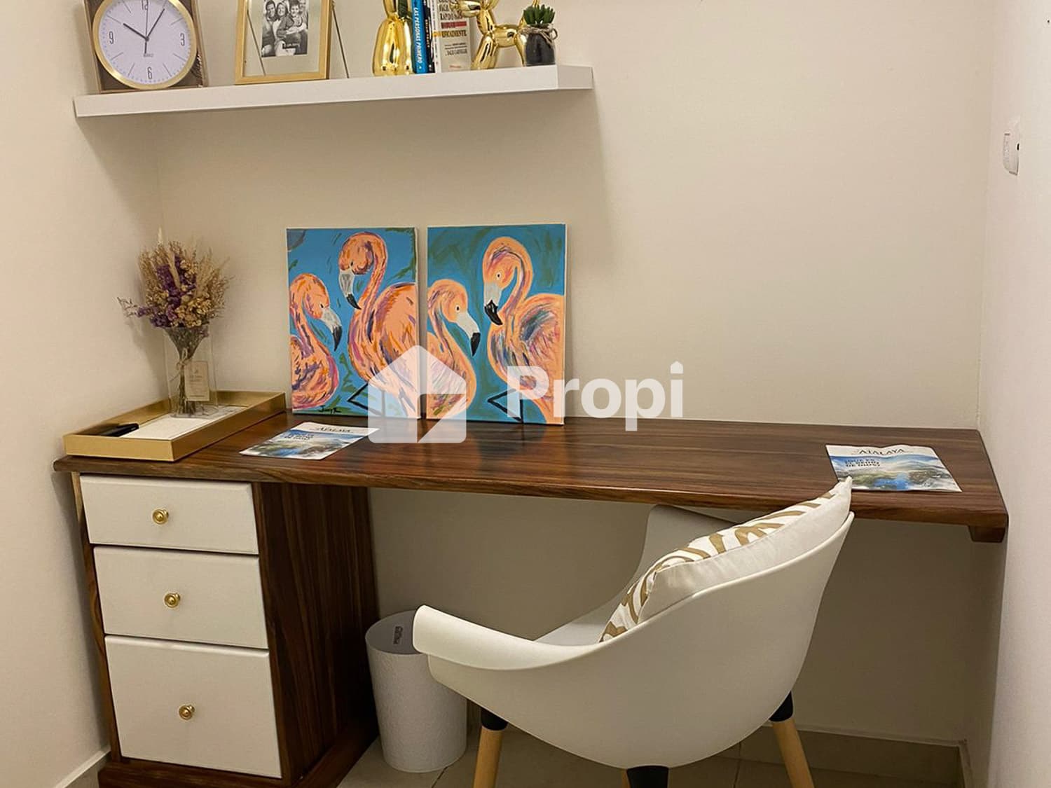 Foto 9 del proyecto