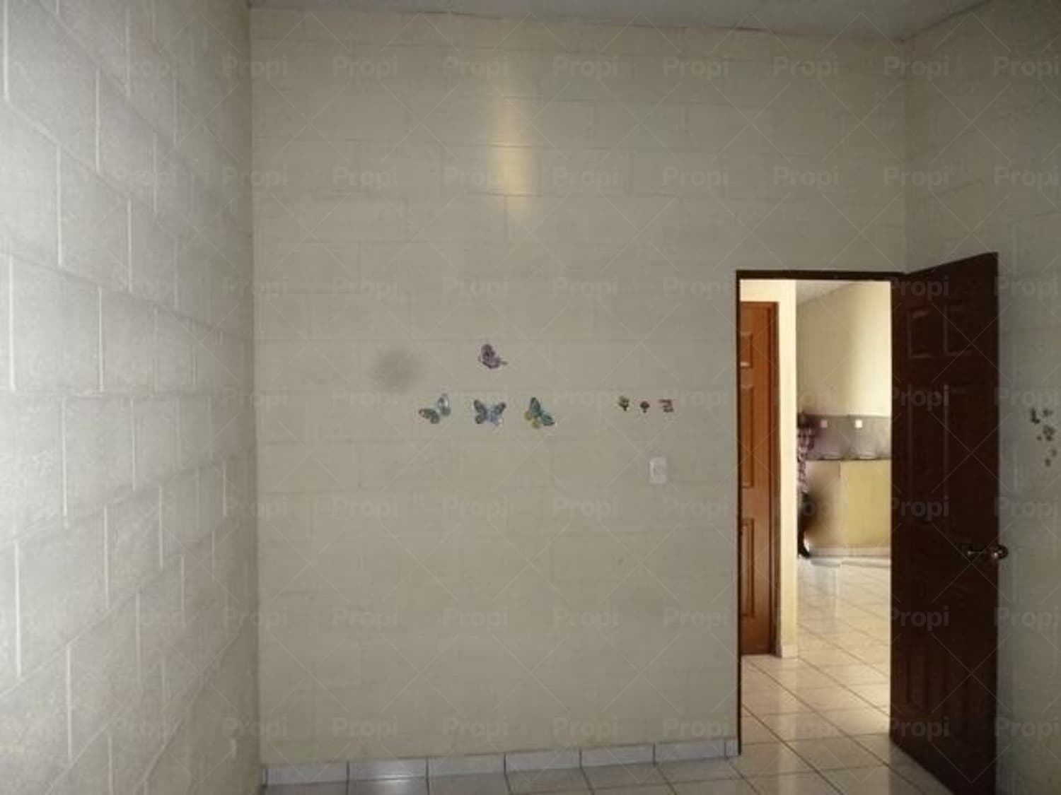 Foto 4 del proyecto