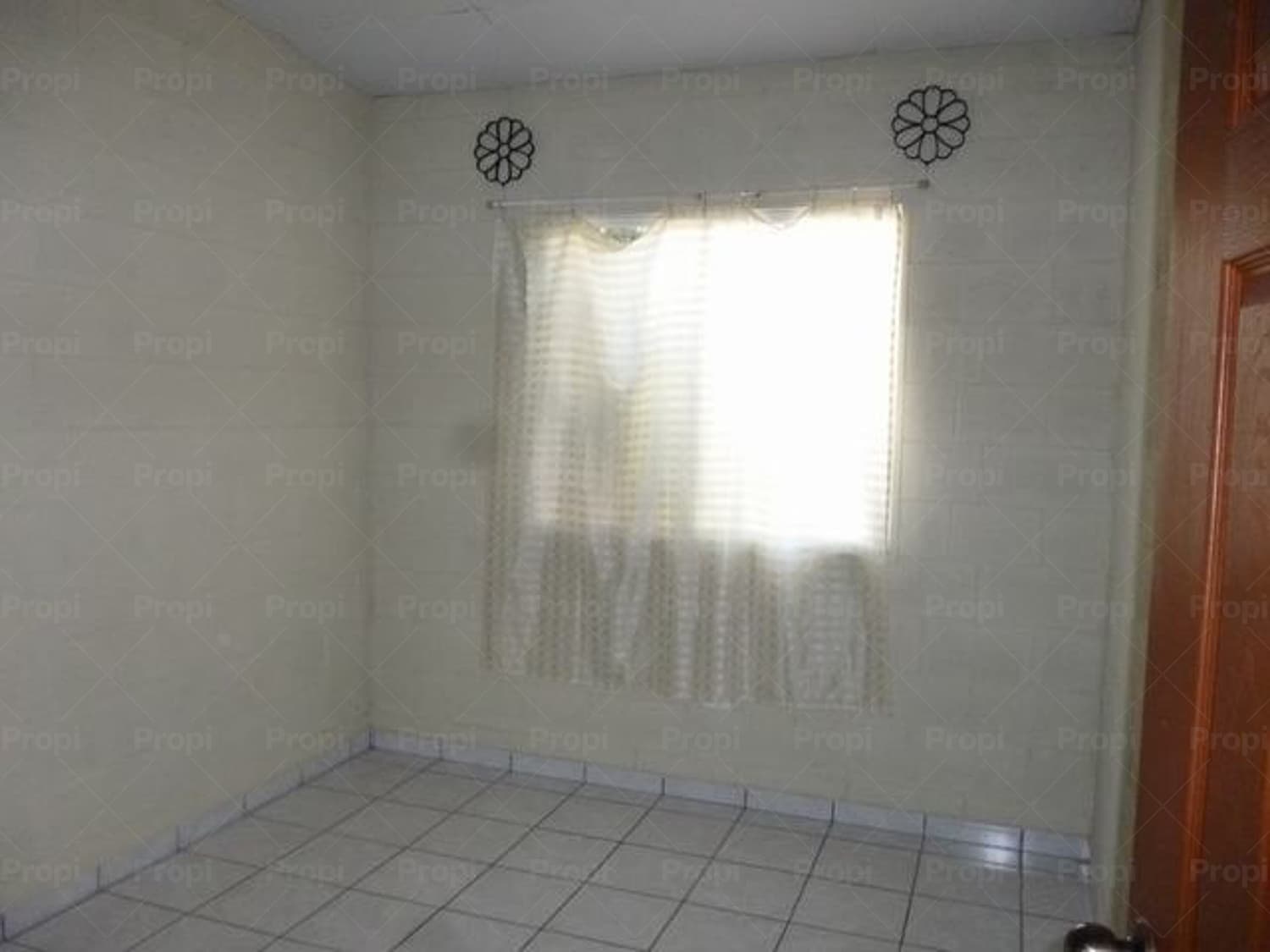 Foto 6 del proyecto