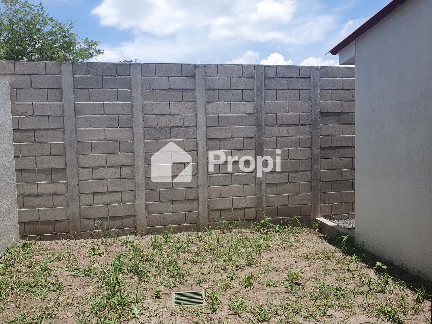 Foto 7 del proyecto