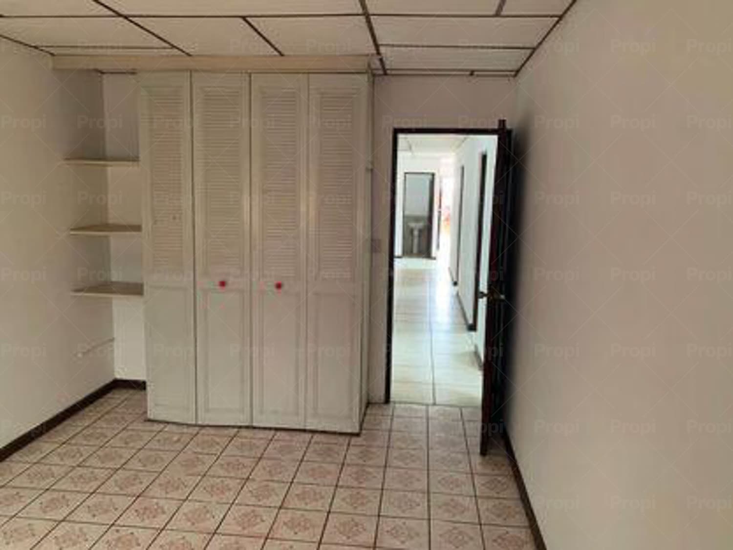 Foto 1 del proyecto