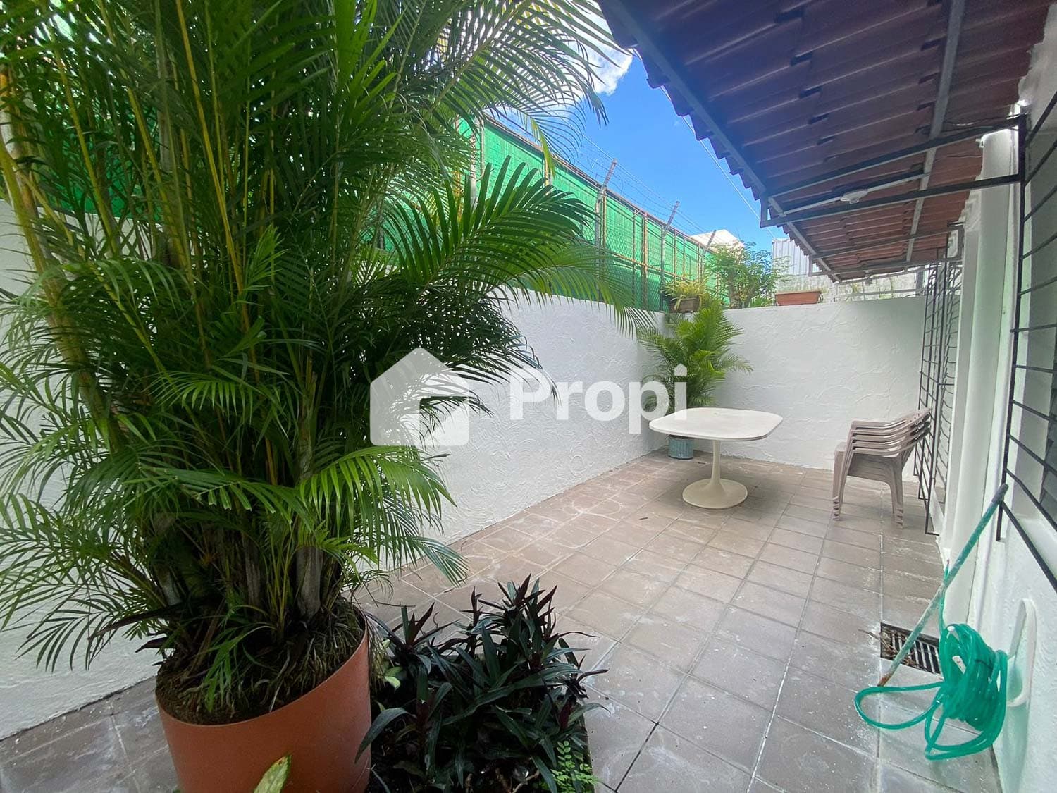 Foto 6 del proyecto