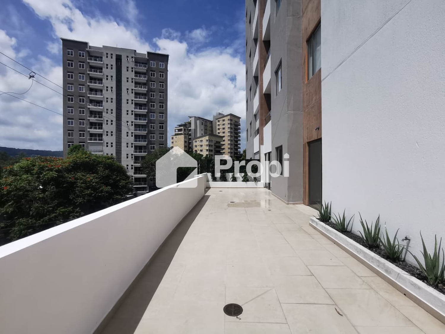 Foto 14 del proyecto